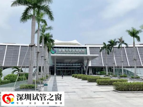 香港大学深圳医院