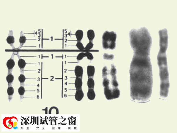 三代染色体检查要8000元左右