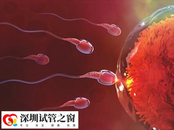 人工授精技术存在弊端